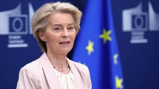 Trump calls for 50% tariff on EU, says he's 'not looking for a deal' with bloc