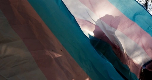 Most LGBTQ adults feel Americans don't accept transgender people, Pew poll finds