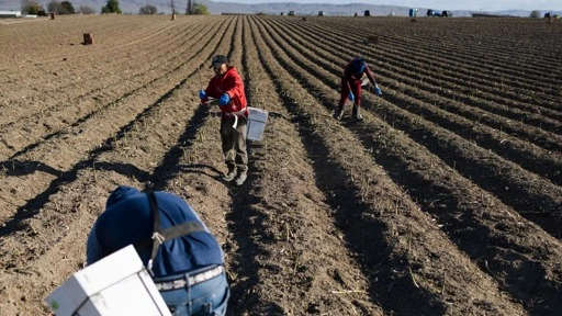 U.S. agriculture isn't nearing a trade war tariff crisis, it's in a 'full-blown crisis already,' farmers say