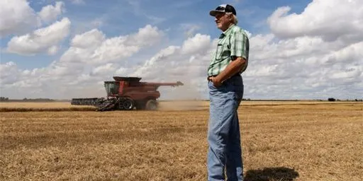 'They quit after a few hours': Farmers admit they can't find American workers