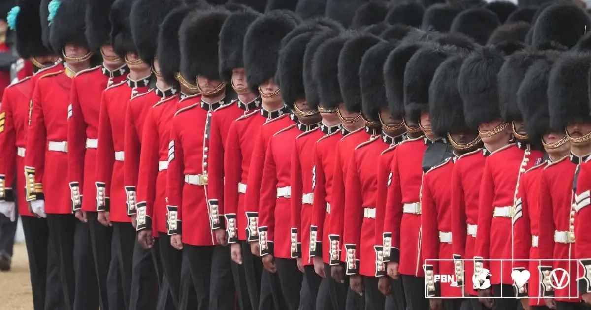 King’s Guard Bearskin Caps Under Renewed Scrutiny As Huge Cost Revealed