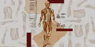 Ethically sourced “spare” human bodies could revolutionize medicine - Human “bodyoids” could reduce animal testing, improve drug development, and alleviate organ shortages.