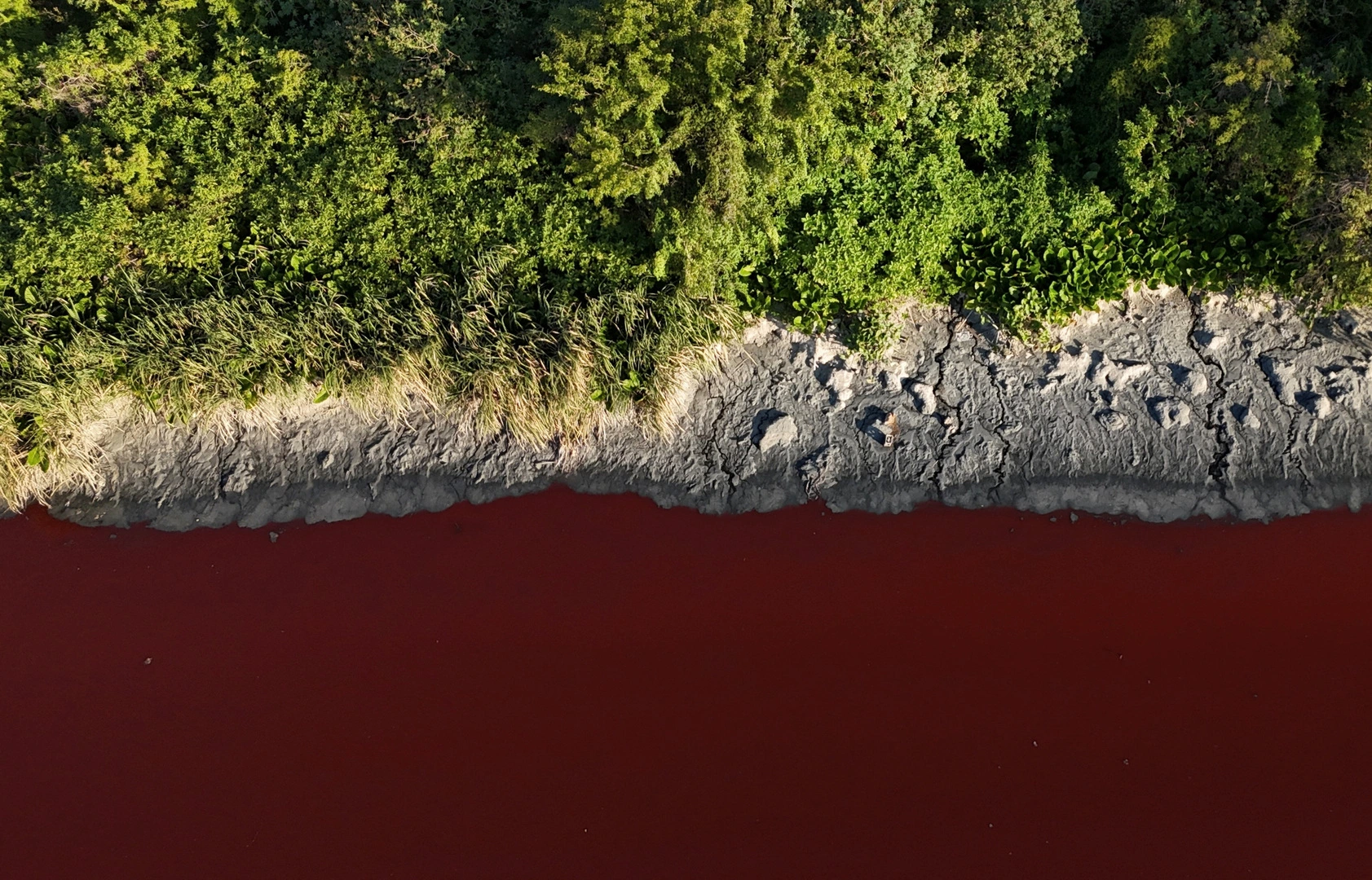 River in Argentina turns blood red