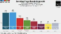AfD is the most popular party in Germany for the first time, with a record 26%