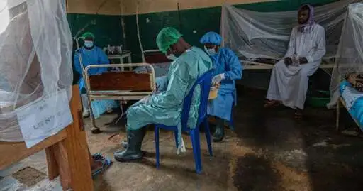 New Disease Spreading Rapidly, Killing Dozens, After Children Ate a Bat