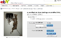 EBay used to be a wild place