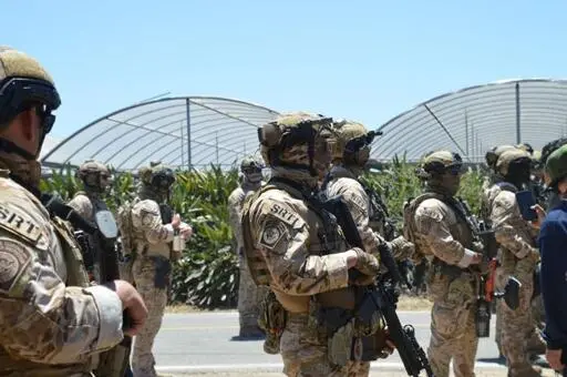 ICE Raids California Cannabis Farm, Sparks Protest and Clashes With National Guard