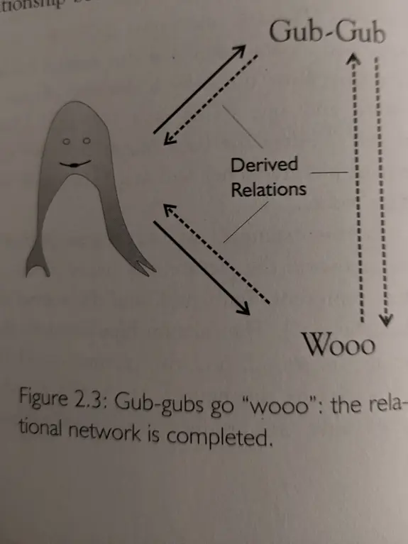 Figure 2.3: Gub-gubs go "wooo": the relational network is completed.