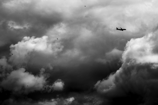 Monochrome daylight photography.
A flying herd, heading cargo and feathered followers, hiking in dramatic clouds.