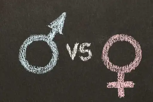 Misogyny is thriving in our schools. Why aren’t we doing more?