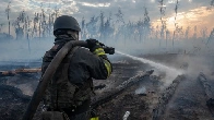 3 years of war have ravaged Ukraine’s forests.
