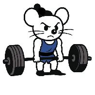 Weightroom - A community for strength training on Lemmy