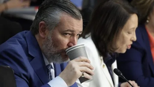 Ted Cruz plan to punish states that regulate AI shot down in 99-1 vote