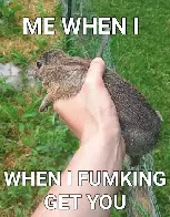 Small criminal got preempted