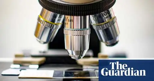 Trump cuts threaten a ‘generation of scientists’ as many weigh leaving US