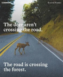 Old grainy photo of two young dear crossing and grazing by an empty two-lane road that winds through a small forest. Overlaid text reads ‘the deer aren’t crossing the road, the road is crossing the forest.’