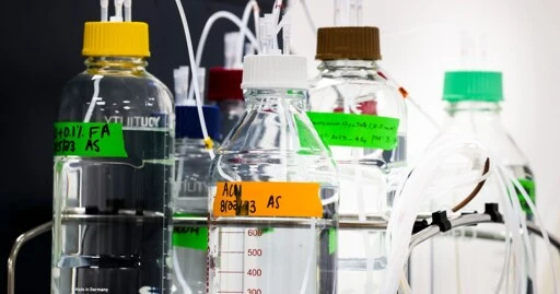 Trump's all-out assault on science constitutes a "mind-boggling own-goal"