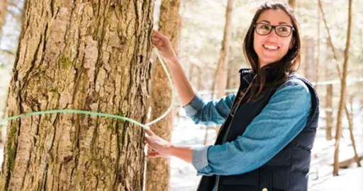 Could maple water replace coconut water? Ontario producers hope so  | Globalnews.ca