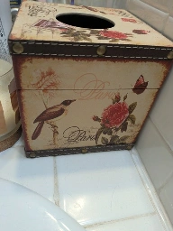 Tissue box, showing a bird, butterfly, rose and the word Paris 