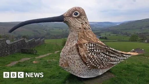 Man sets off on Nidderdale walk dressed as a curlew