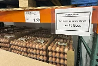 USA asks Denmark for help in the egg crisis