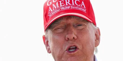 'Get them the hell out': Trump says deporting US citizens could be 'next job'