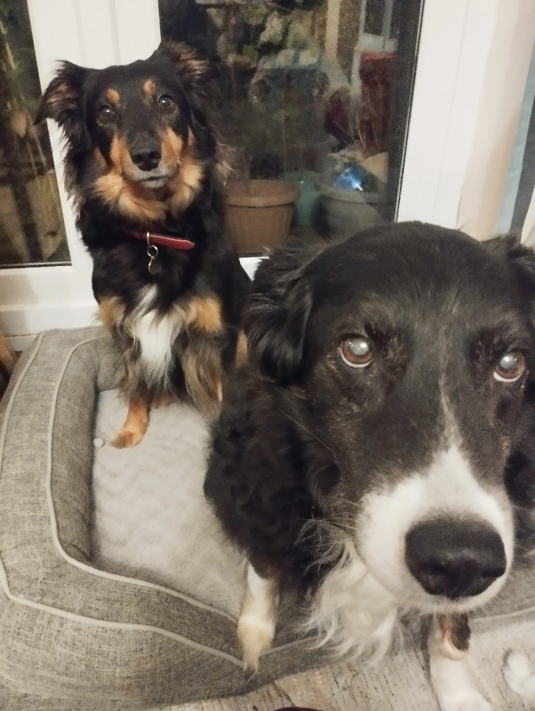 My two
