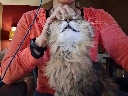 cheesymoonshadow