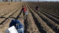 Agriculture isn't nearing trade war tariffs crisis, 'it is full blown crisis already' farmers say