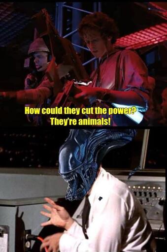 animals