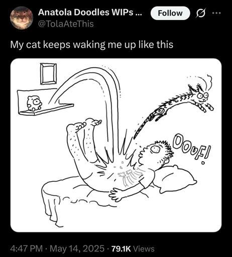 @TolaAteThis tweets: My cat keeps waking me up like this. A picture shows a cat jumping down from a shelf, onto a sleeping person’s stomach, and bouncing away 