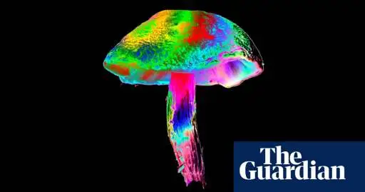The ancient psychedelics myth: ‘People tell tourists the stories they think are interesting for them’