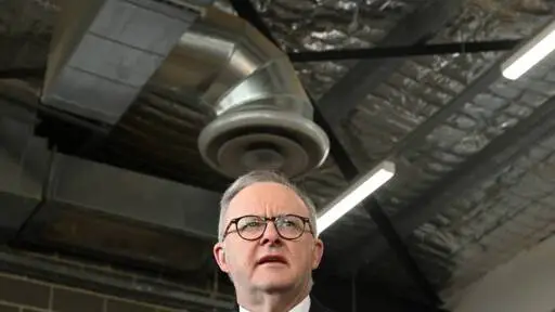 Albanese's plan to 'unleash the private sector'