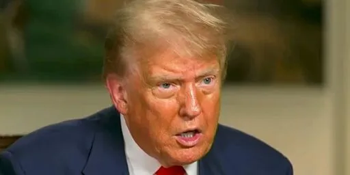 'Brain is peanut butter': Trump mocked for calling Japanese leader 'Mr. Japan'