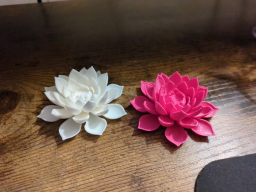 3D printed water lilies. one white, and one pink.