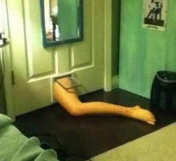 image of a leg entering a doggy door