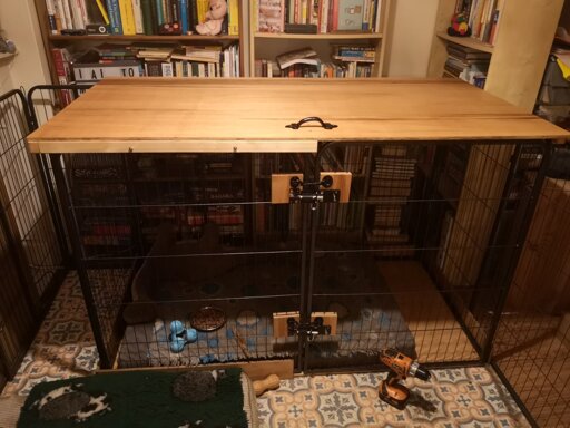 Finished crate: sides out of playpen panels, top & bottom plywood, the top opens 