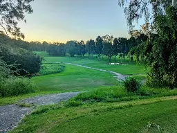A sunset behind a row of trees on an open green landscape. Rough concrete and dirt paths crisscross the land. A small puddle of rainwater sits just to the side of one of the paths.