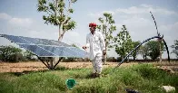 Solar-Powered Farming Is Quickly Depleting the World's Groundwater Supply