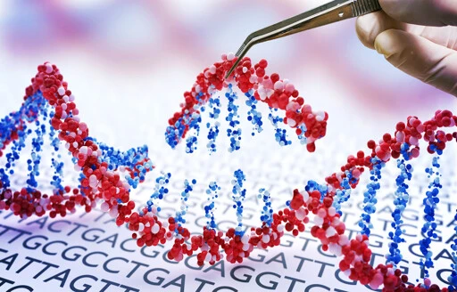 CRISPR used to remove extra chromosomes in Down syndrome and restore cell function