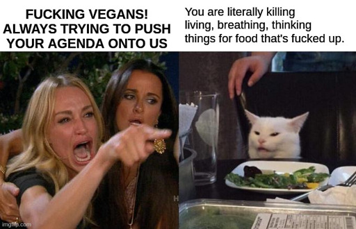 a angry lady pointing to a cat eating a salad meme with the caption: "FUCKING VEGANS! ALWAYS TRYING TO PUSH YOUR AGENDA ONTO US." - "you are litterally killing living, breathing, thinking things for food, thats fucked up.""