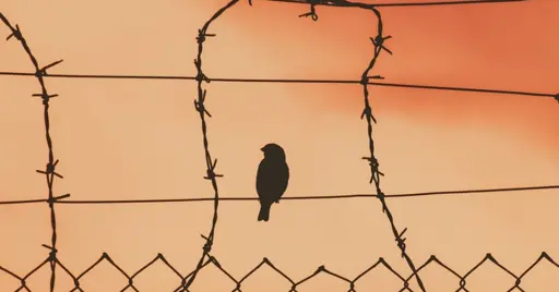 What Can We Learn From the Mass Trauma of Dictatorships?