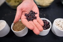 Vegan diet beats Mediterranean diet when it comes to…