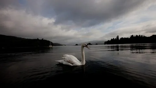 UK government vows to clean up Lake Windermere after beauty spot clogged with sewage