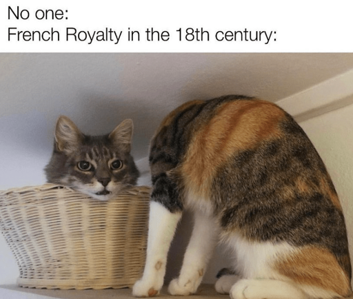 le meow