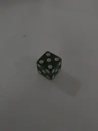 D6 with sides that all show 5 pips