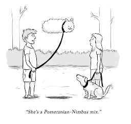 Cuteness and clever