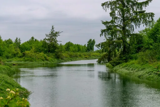 A River in Washington State Now Has Enforceable Legal Rights - Inside Climate News