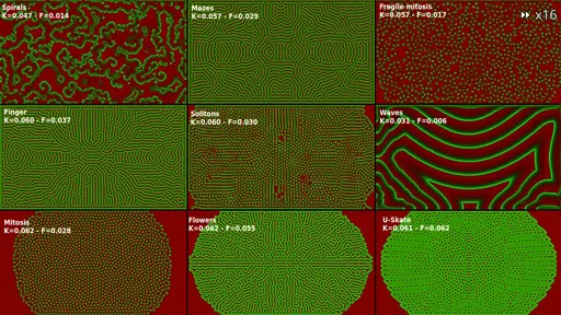 Mitosis in the Gray-Scott model : writing shader-based chemical simulations