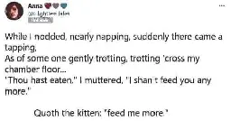What is probably a Twitter post by Anna 💖💜💙 @FlightlessTales. It says: While I nodded, nearly napping, suddenly there came a tapping, As of some one gently trotting, trotting 'cross my chamber floor… "Thou hast eaten," I muttered, "I shan't feed you any more." Quoth the kitten: "feed me more."